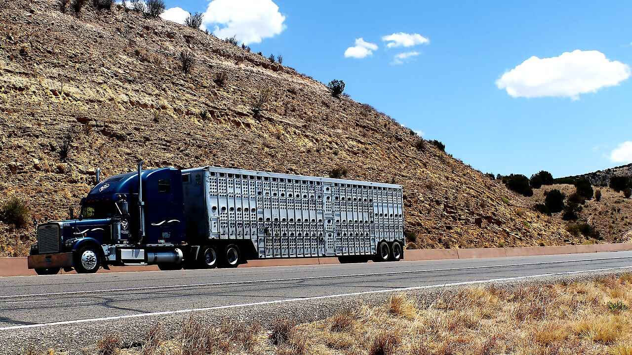 A closed truck carrying cars