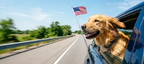 The Best American-Made Cars of 2026 (And What "Made in America" Really Means)