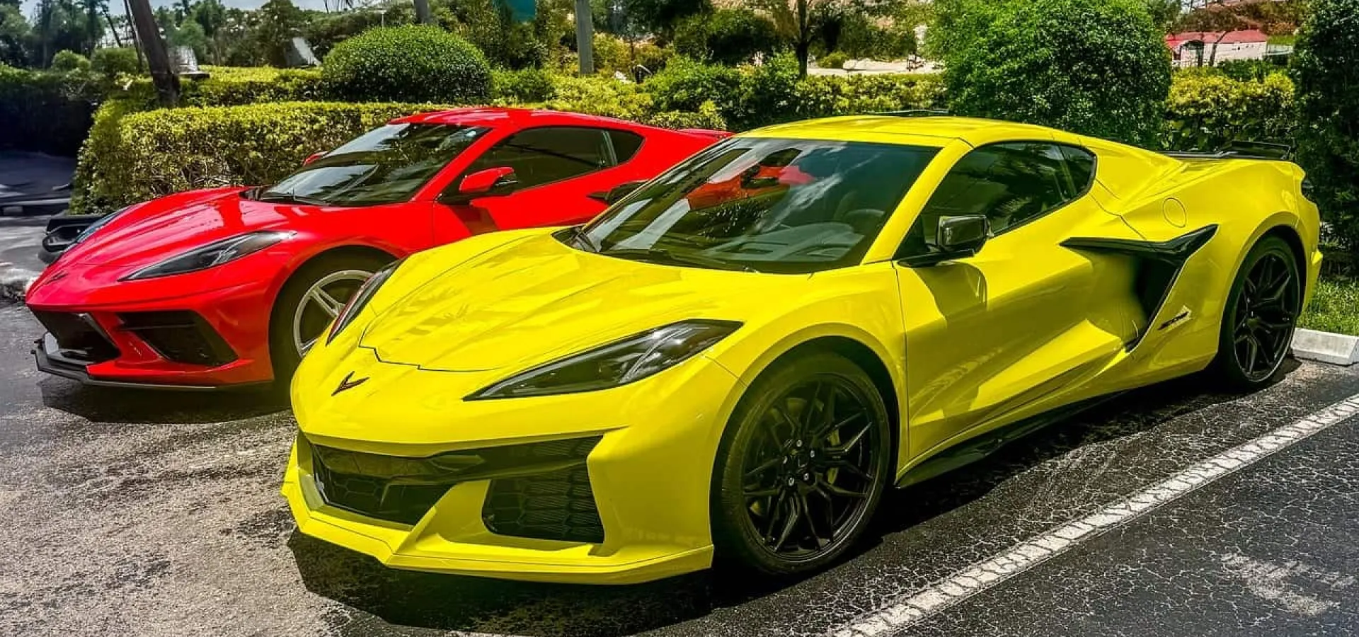 Two yellow and red Corvettes