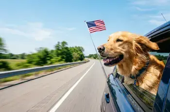 The Best American-Made Cars of 2026 (And What "Made in America" Really Means)