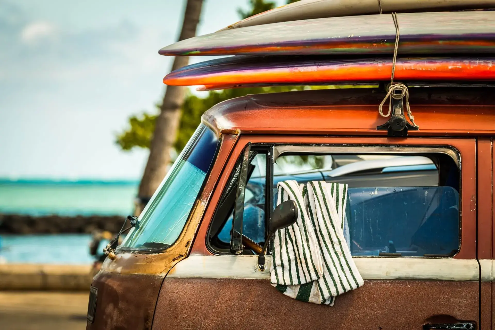 Hawaii car transport: Everything you need to know