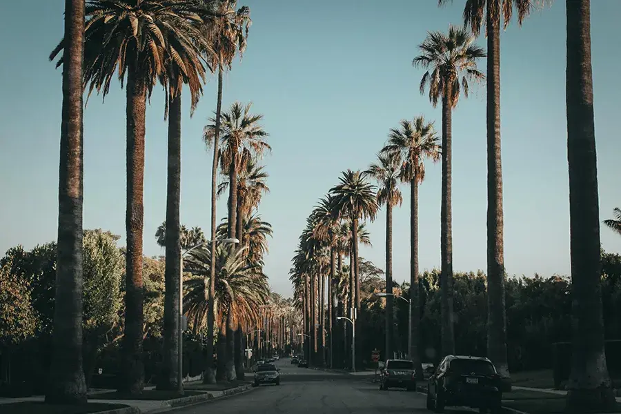 from Los Angeles Vehicle Shipping with SGT Auto Transport from Los Angeles Vehicle Shipping with SGT Auto Transport