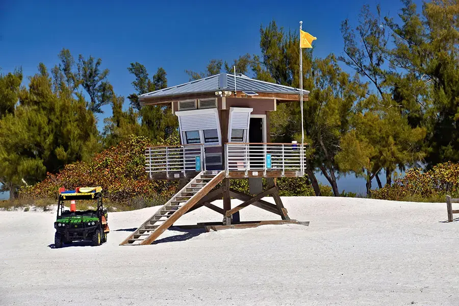 Why Should you Choose SGT Auto Transport for Car Shipping in Bradenton, FL?