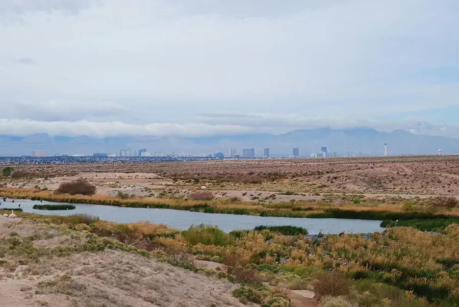 Why Should you Choose SGT Auto Transport for Car Shipping in Henderson, NV?