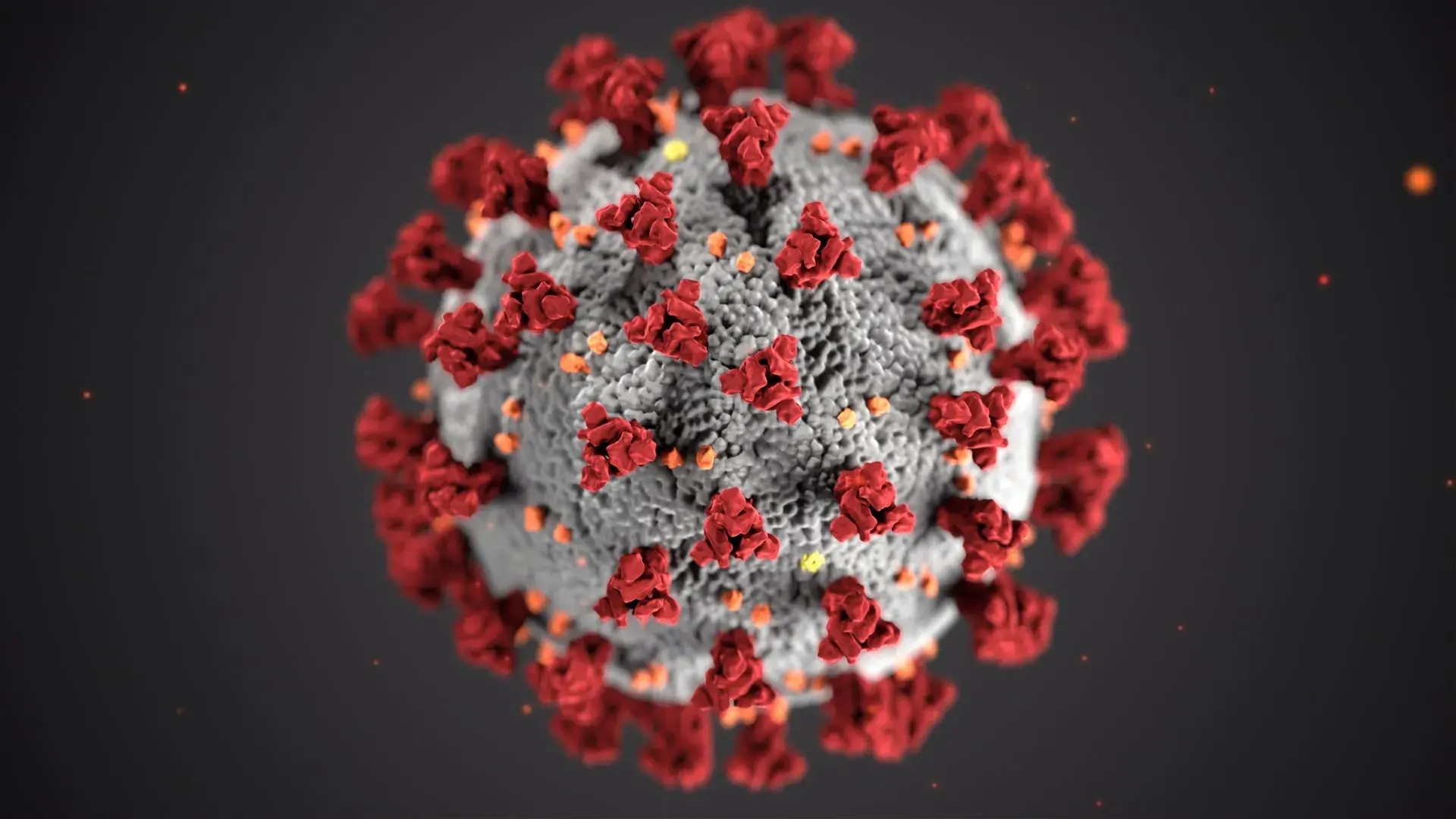 How the coronavirus is affecting the auto transport industry