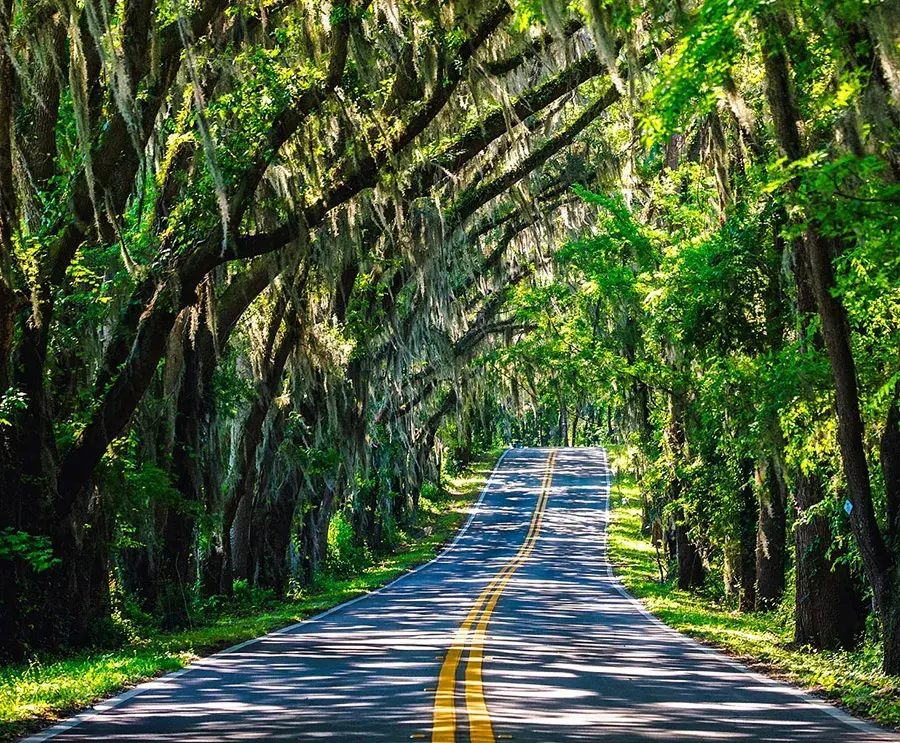 From Point A in New Jersey to Point B in Georgia From Point A in New Jersey to Point B in Georgia