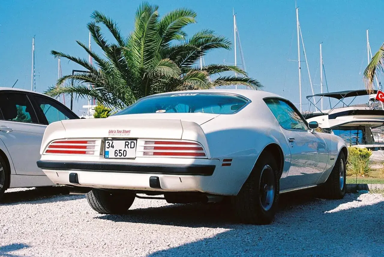 A white classic car parked in front of a palm