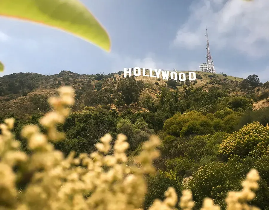 What to Expect from Wisconsin to California Vehicle Shipping with SGT Auto Transport